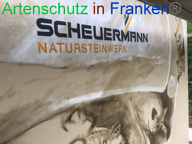 © Artenschutz in Franken® Bild zum Eintrag (1088103-160)