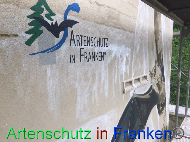 © Artenschutz in Franken® Bild zum Eintrag (1088104-160)