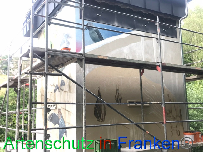 © Artenschutz in Franken® Bild zum Eintrag (1088106-160)