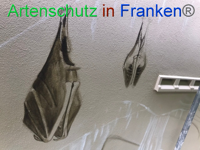 © Artenschutz in Franken® Bild zum Eintrag (1088107-160)