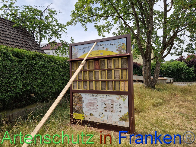 Bild zum Eintrag (1088303-160)