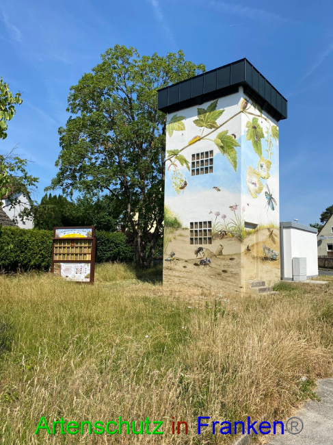 Bild zum Eintrag (1088307-160)