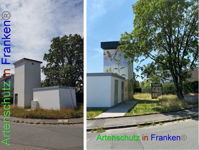 © Artenschutz in Franken® Bild zum Eintrag (1088312-160)