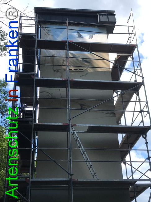 © Artenschutz in Franken® Bild zum Eintrag (1088401-160)