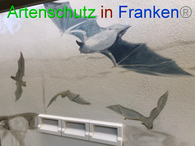 © Artenschutz in Franken® Bild zum Eintrag (1088403-160)