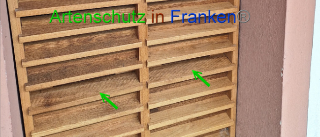 © Artenschutz in Franken® Bild zum Eintrag (1088435-160)