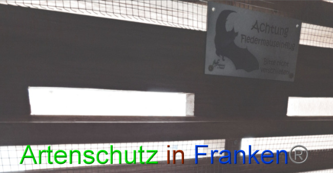 © Artenschutz in Franken® Bild zum Eintrag (1088442-160)