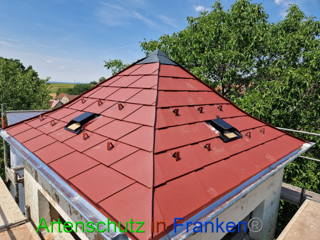 © Artenschutz in Franken® Bild zum Eintrag (1088473-160)