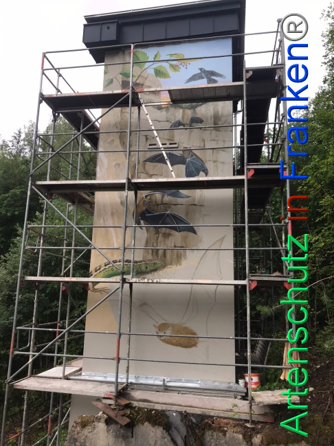 © Artenschutz in Franken® Bild zum Eintrag (1088834-160)