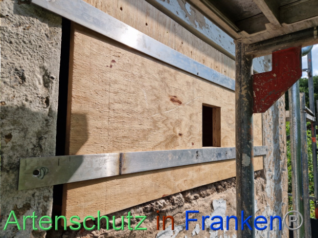 © Artenschutz in Franken® Bild zum Eintrag (1088885-160)