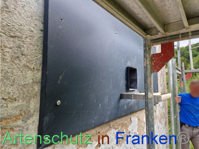 © Artenschutz in Franken® Bild zum Eintrag (1088886-160)