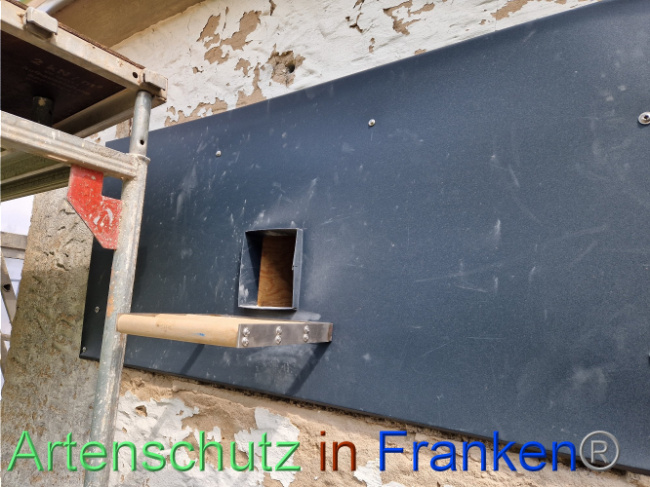 © Artenschutz in Franken® Bild zum Eintrag (1088887-160)