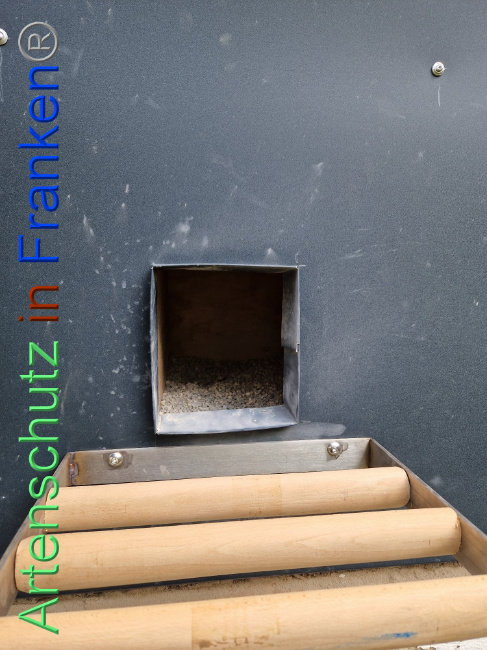© Artenschutz in Franken® Bild zum Eintrag (1088888-160)