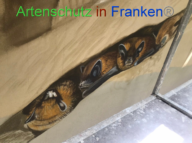 © Artenschutz in Franken® Bild zum Eintrag (1089302-160)