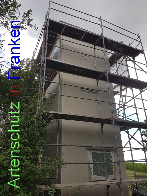 © Artenschutz in Franken® Bild zum Eintrag (1089364-160)