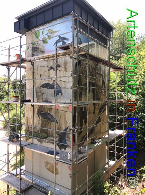 © Artenschutz in Franken® Bild zum Eintrag (1089427-160)