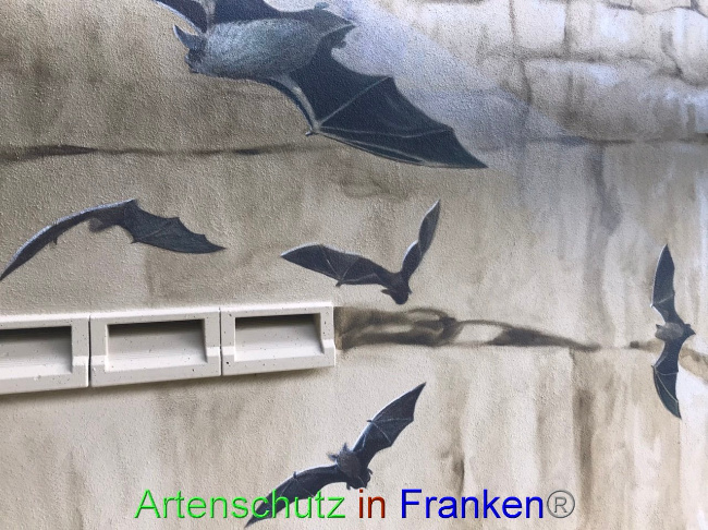 © Artenschutz in Franken® Bild zum Eintrag (1089428-160)