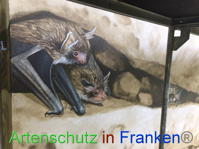 © Artenschutz in Franken® Bild zum Eintrag (1089467-160)