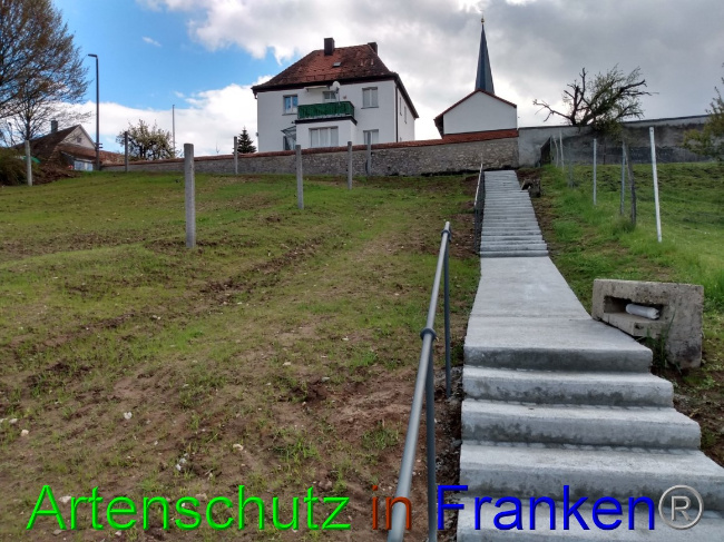© Artenschutz in Franken® Bild zum Eintrag (1089667-160)
