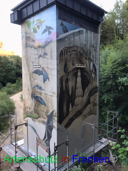 © Artenschutz in Franken® Bild zum Eintrag (1089680-160)