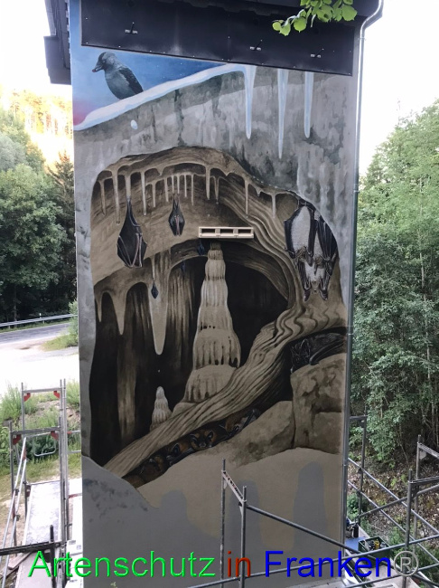 © Artenschutz in Franken® Bild zum Eintrag (1089682-160)