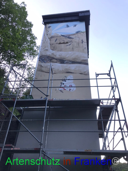 © Artenschutz in Franken® Bild zum Eintrag (1089683-160)