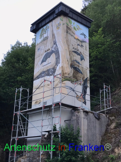 © Artenschutz in Franken® Bild zum Eintrag (1089684-160)