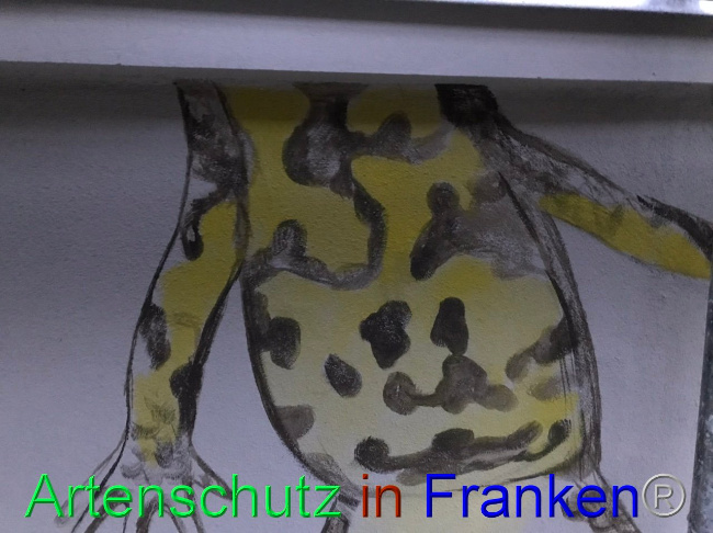 © Artenschutz in Franken® Bild zum Eintrag (1089736-160)