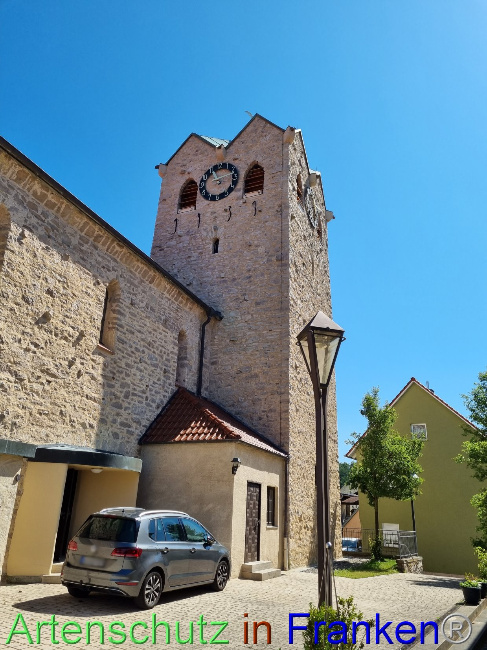 © Artenschutz in Franken® Bild zum Eintrag (1089746-160)