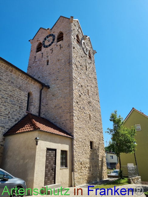 © Artenschutz in Franken® Bild zum Eintrag (1089752-160)