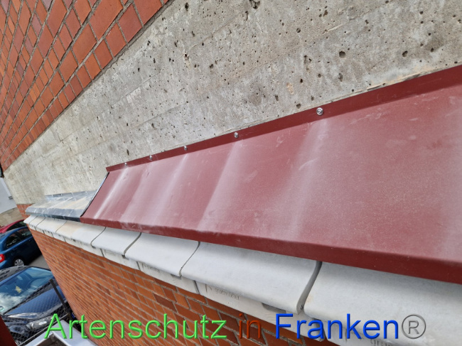 © Artenschutz in Franken® Bild zum Eintrag (1089800-160)