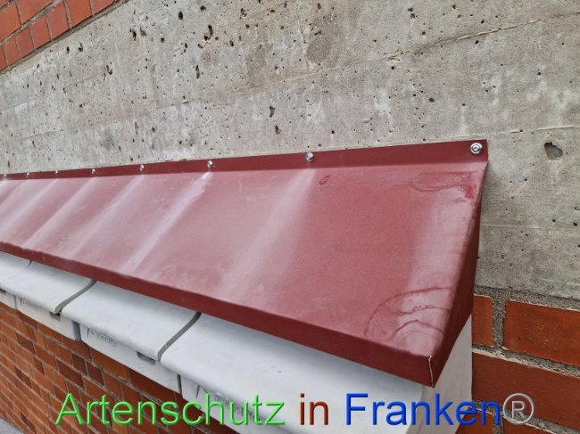 © Artenschutz in Franken® Bild zum Eintrag (1089801-160)