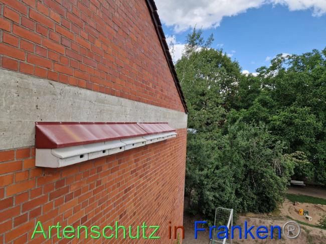 © Artenschutz in Franken® Bild zum Eintrag (1089824-160)