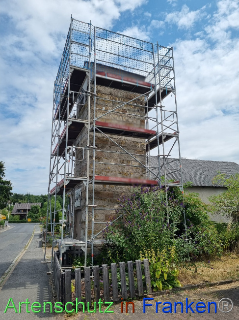 Bild zum Eintrag (1089840-160)