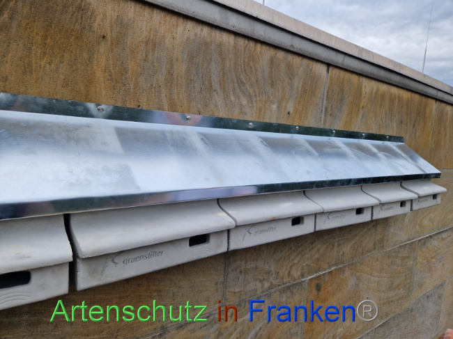 Bild zum Eintrag (1089863-160)