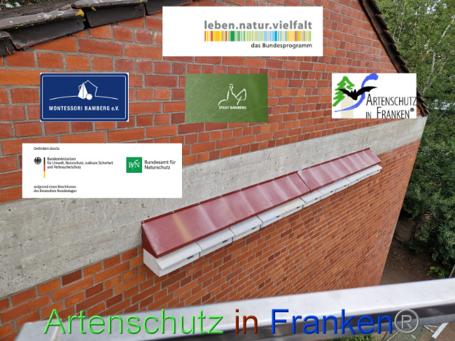 © Artenschutz in Franken® Bild zum Eintrag (1089872-160)