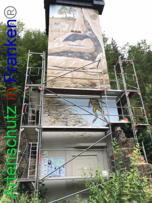 © Artenschutz in Franken® Bild zum Eintrag (1090060-160)