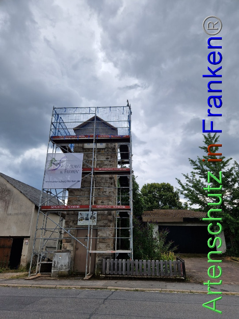 © Artenschutz in Franken® Bild zum Eintrag (1090141-160)