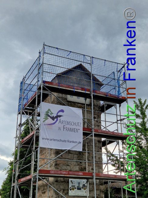 © Artenschutz in Franken® Bild zum Eintrag (1090144-160)