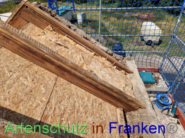 © Artenschutz in Franken® Bild zum Eintrag (1090145-160)