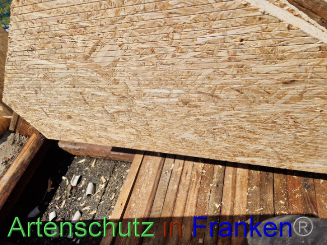 © Artenschutz in Franken® Bild zum Eintrag (1090152-160)