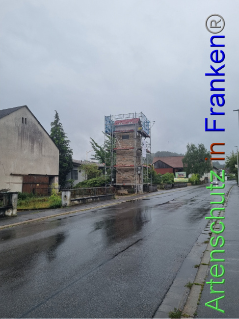 © Artenschutz in Franken® Bild zum Eintrag (1090158-160)