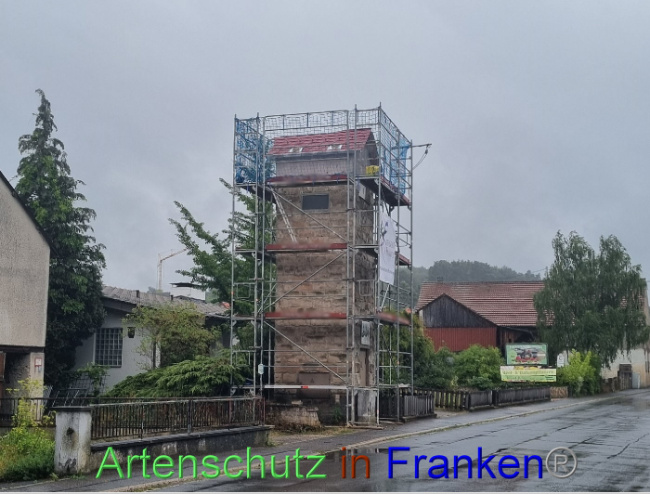 © Artenschutz in Franken® Bild zum Eintrag (1090160-160)
