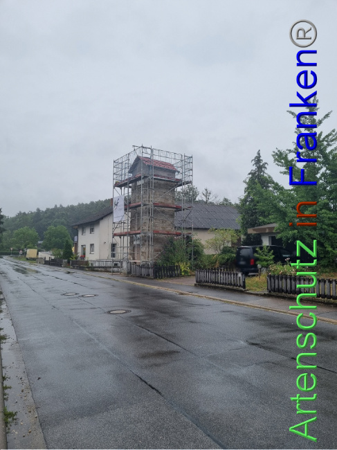 © Artenschutz in Franken® Bild zum Eintrag (1090167-160)