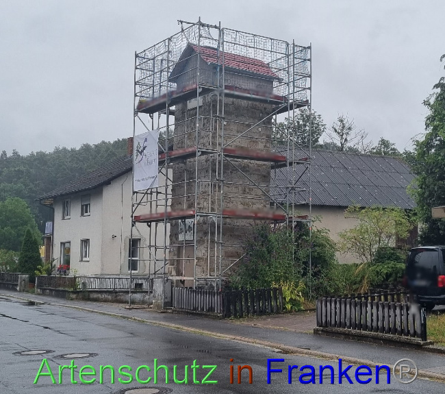 © Artenschutz in Franken® Bild zum Eintrag (1090168-160)