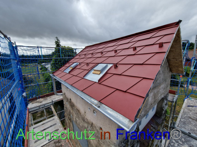 © Artenschutz in Franken® Bild zum Eintrag (1090219-160)