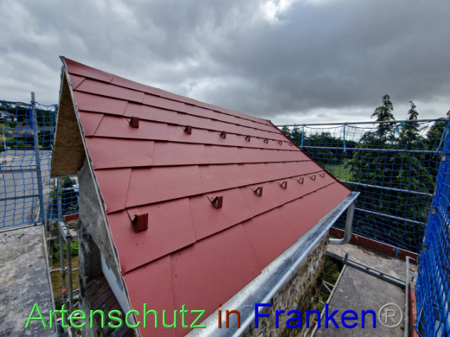 © Artenschutz in Franken® Bild zum Eintrag (1090220-160)