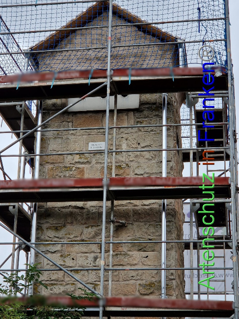 © Artenschutz in Franken® Bild zum Eintrag (1090221-160)