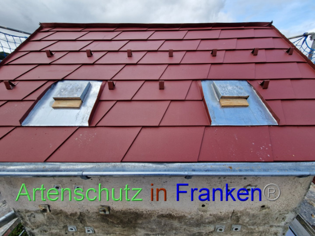 © Artenschutz in Franken® Bild zum Eintrag (1090222-160)