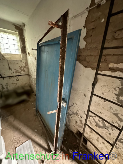 © Artenschutz in Franken® Bild zum Eintrag (1090243-160)